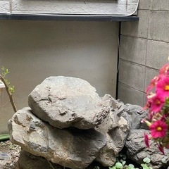 お庭をリフォームされたい方いかがですか。の画像