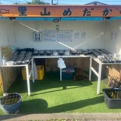 メダカとミジンコの無人販売所　里山公園前　里山めだか　4/30出店