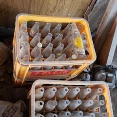 【早い者勝ち】【無料】昭和レトロジュース瓶 ケース 空き　レモン　レスカの画像