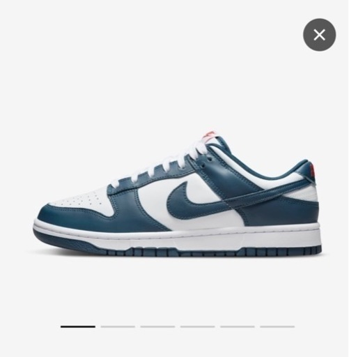 NIKE DUNK ナイキ　ダンク　バレリアンブルー