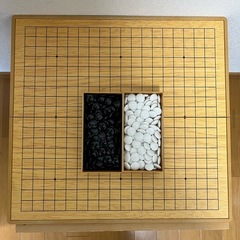 本格19路盤　囲碁DX　説明書付き　中古