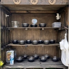 めだか　4月30日出品分だす。の画像