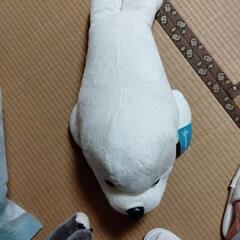真っ白のアザラシの赤ちゃん