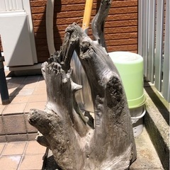 流木
