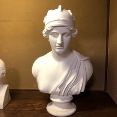 石膏像 アマゾン胸像
