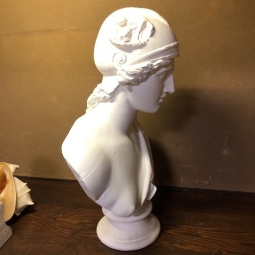 石膏像 アマゾン胸像