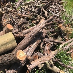 薪用木材の画像