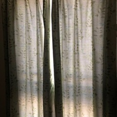 カーテン2枚、レース2枚の画像