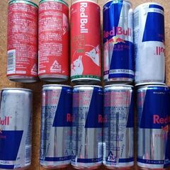 レッドブル　250ml　10缶（内レッドエディション3缶）＋モン...