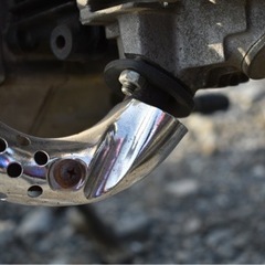 モンキーの画像