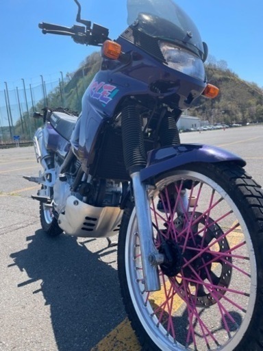 決まりました！