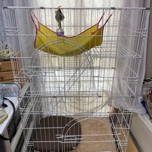 猫のゲージ