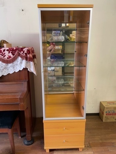 コレクションケース