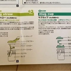 コンビ🌱テテオ　マグの画像
