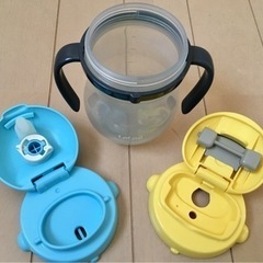 コンビ🌱テテオ　マグの画像