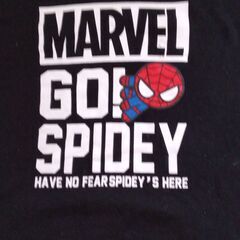MARVEL　トレーナー　メンズ　レディース　L＜値下げ＞の画像
