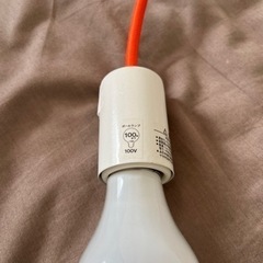 NOCE 可愛らしいシンプル照明差し上げます。の画像