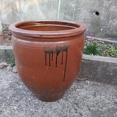 陶器　水瓶　甕　メダカ　金魚　玄関脇に