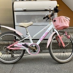 子供用22インチの画像