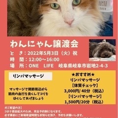 5/3 わんにゃん譲渡会
