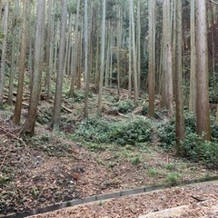 ソロキャンプ - 津市