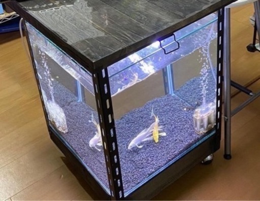 水槽テーブル