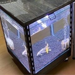 水槽テーブル