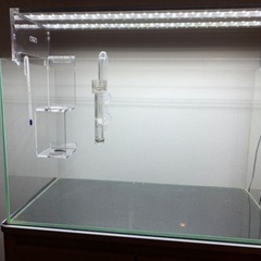 アクアリウム　水草　ADA 60cm 水槽セット　アクアスカイG...