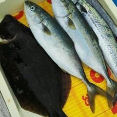 一緒に釣りに行きましょう！