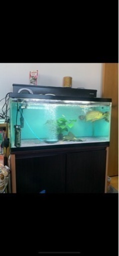 90規格水槽