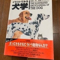 イラストで見る　犬学