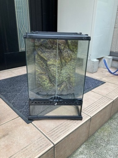 爬虫類や両生類に適した水槽　取りに来てくれた方2000円