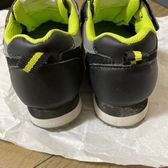 🎀13.0cm の画像