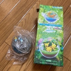 ポケモン　テラリウムコレクション9