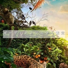 オンライン✨高次元存在からのメッセージ/チャネリング鑑定✨ - 中央区