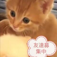 お互いに支え合い‼️