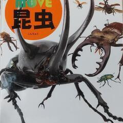 昆虫図鑑DVD付