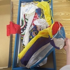 鯉のぼり（現金手渡し)の画像