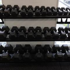 Red Rise 24gymの画像