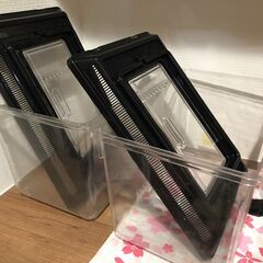 ダイソーなどに売ってる飼育ケース（中）