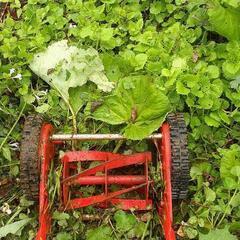 手押し草刈り機　ナイスイーグルモア？の画像