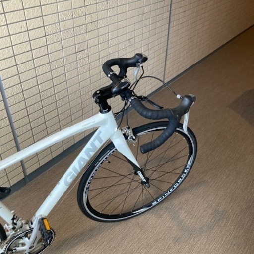giant defy 白