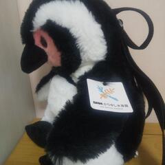 ペンギンリュック🐧の画像