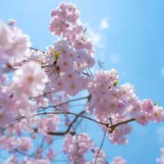 ラジオとYouTubeのメンバーを募集しています！