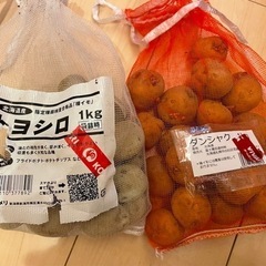 種芋 だんしゃく、とよしろ