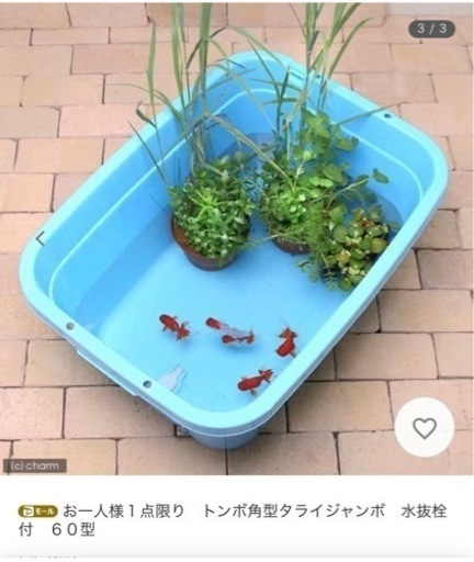 トンボ ジャンボタライ60   3個