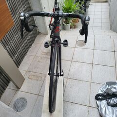 とにかく軽いアルミロードバイク　Cannondale CAAD12 サイズ50の画像