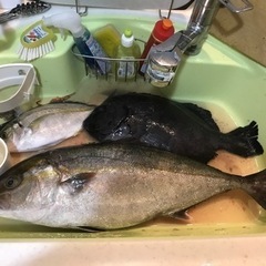 海上釣り堀