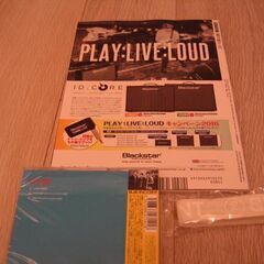 BLUE ENCOUNT　値下げ（CD・雑誌・ラバーバンド）　500円の画像