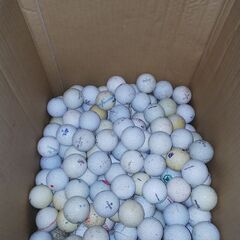 ゴルフボール大量‼️本日中の画像